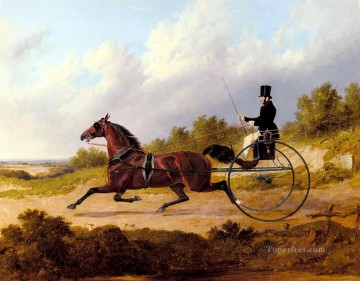 The Famous Trotter Confidence Drawing A Gig Herring Snr John Frederick horse Oil Paintings